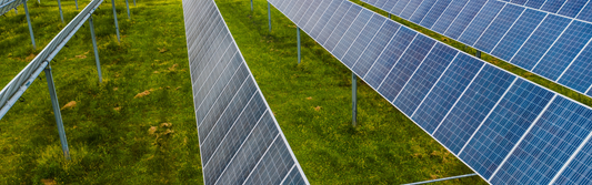 Green Hosting & Sustainable Data Centers in India